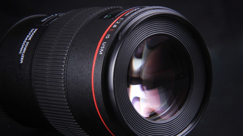 a Canon EF 100m f/2.8L IS USM Macro lens