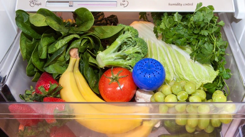 Bluapple produce saver in crisper drawer next to vegetables.