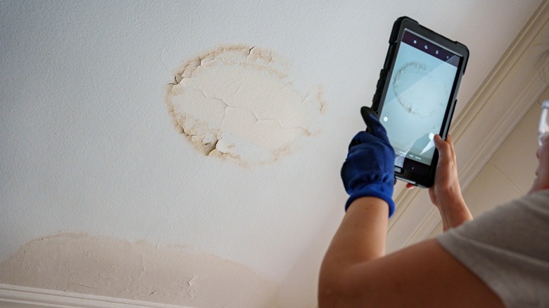 close-up of a stain on the ceiling being viewed on a screen