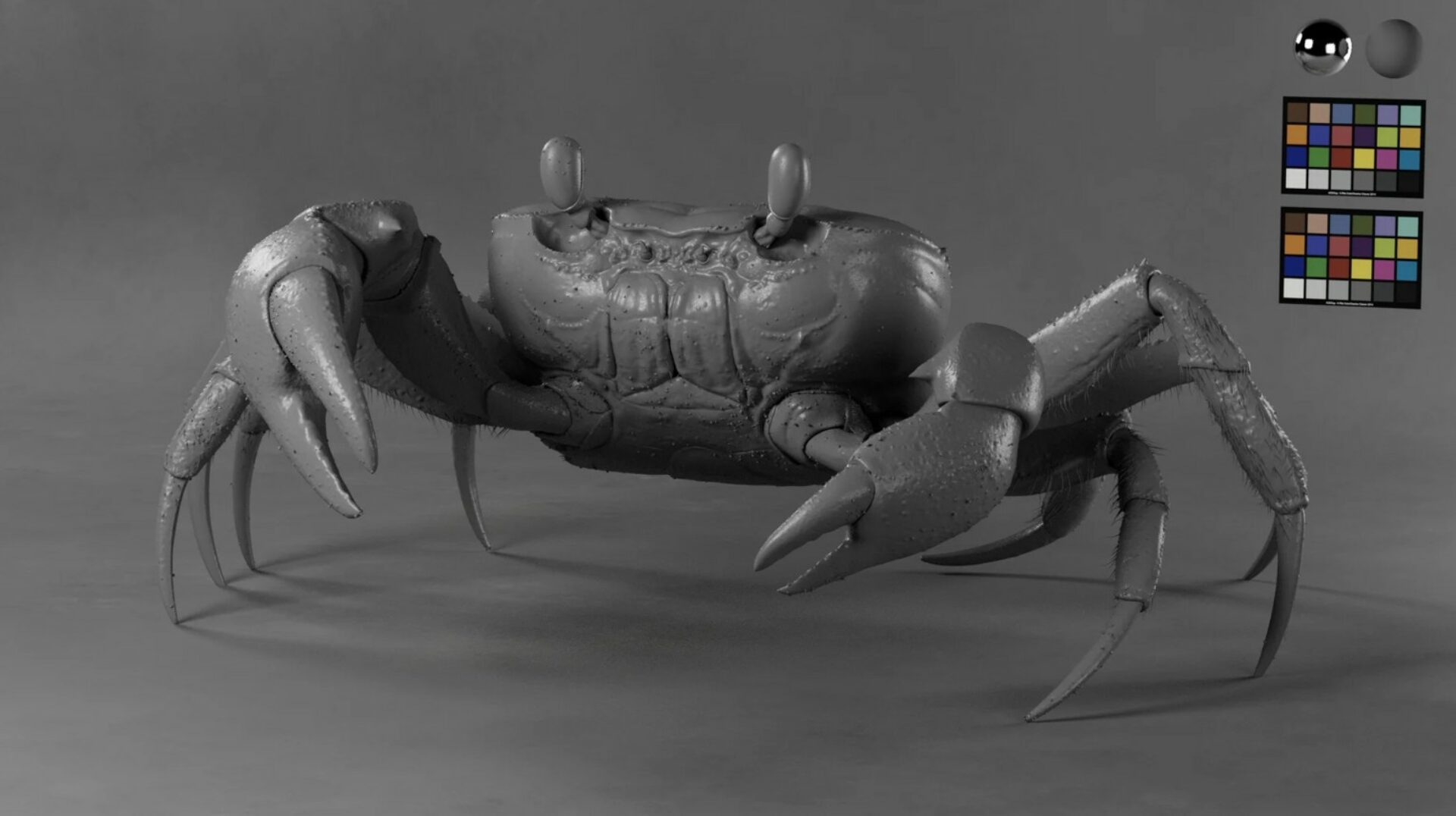crabe