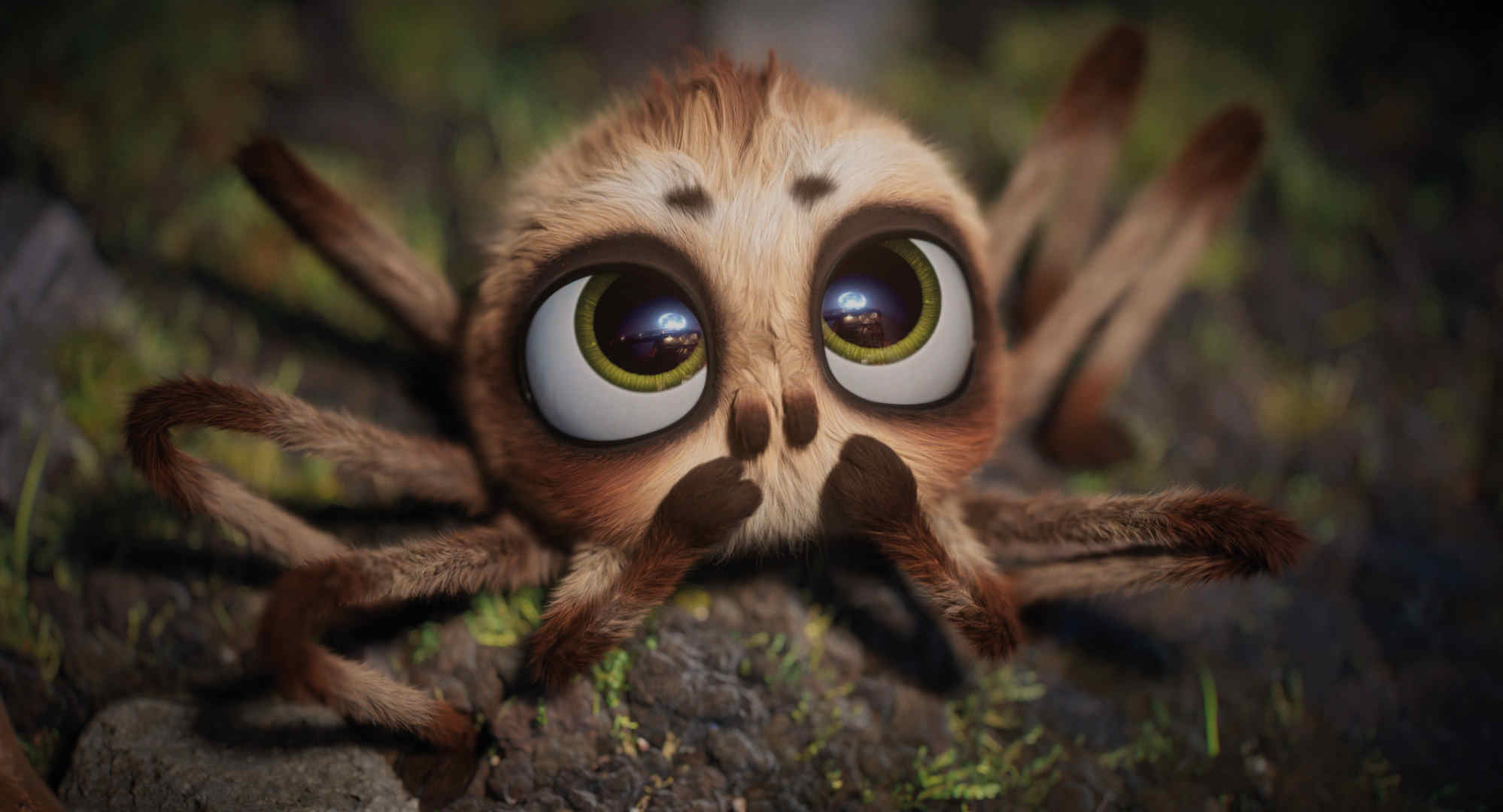 3d animated Movie Program