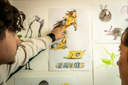 expli projets