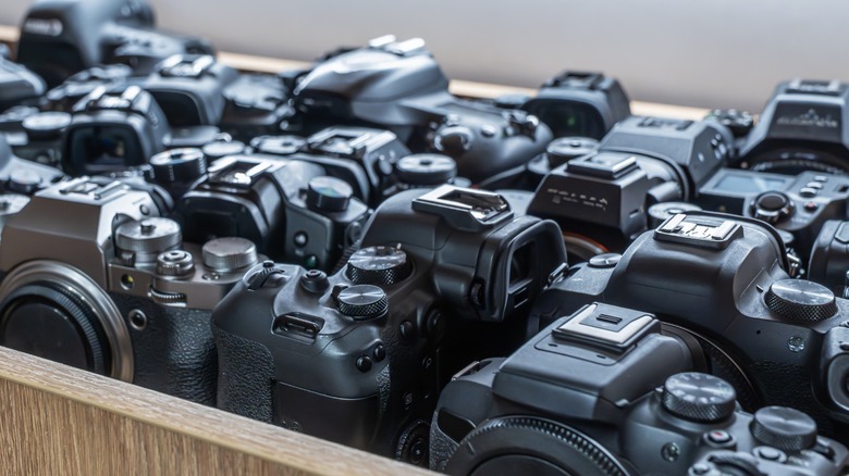 Multiple mirrorless camera bodies in a box