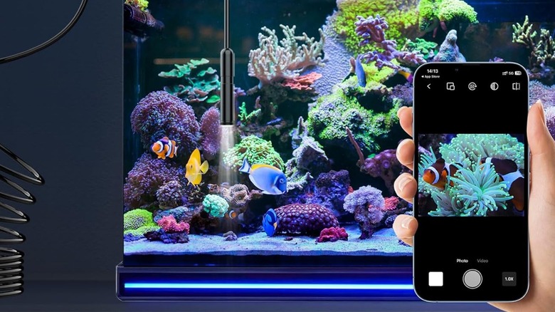 Ennovor Endoscope used in fish tank