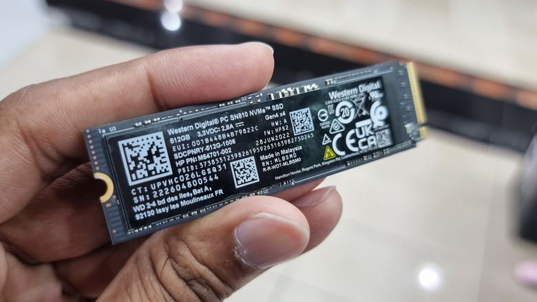 male hand holding wd sn810 ssd