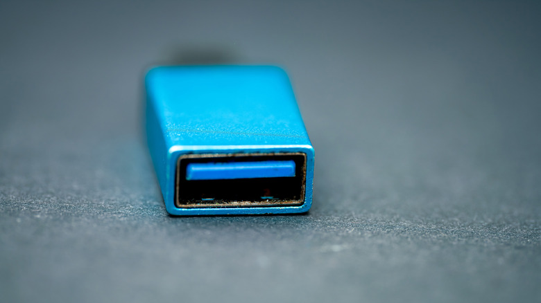close-up shot of a sole USB Type A female connector