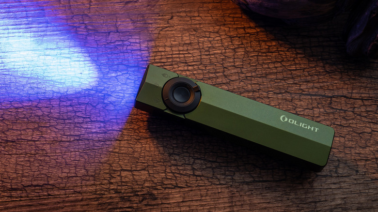 Olight ArkPro in nature, with SlashGear Innovation Badge superimposed over the photo