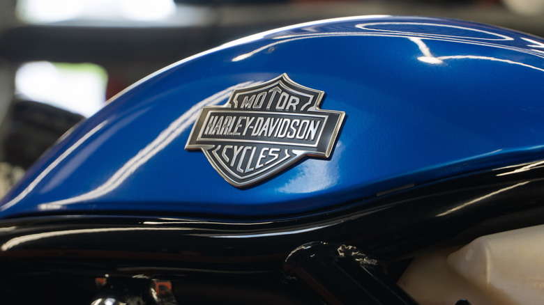 Gas tank of a blue Harley Davidson