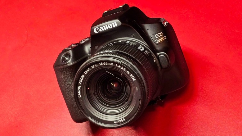 the author's Canon EOS 200D Mark II (also known as the SL3, 250D, or Kiss X10)