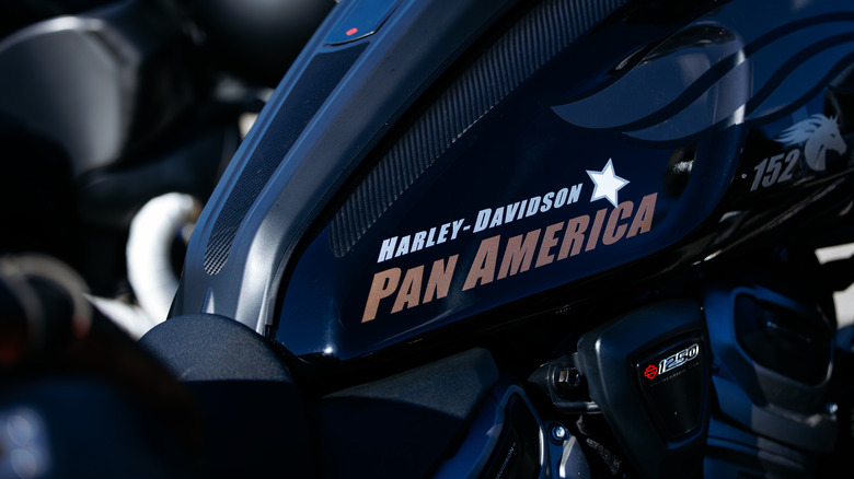 Harley-Davidson Pan America photographed close-up