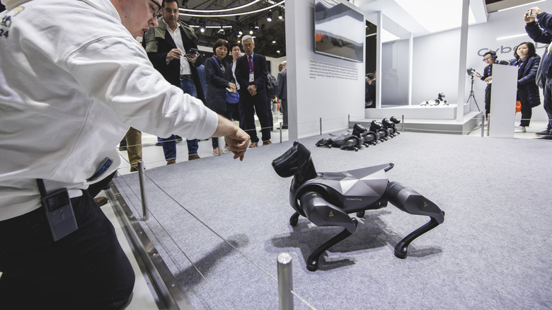 A Chinese Xiaomi robot dog 