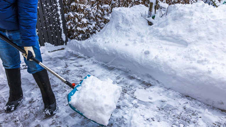 Person shoveling snow in a driveway