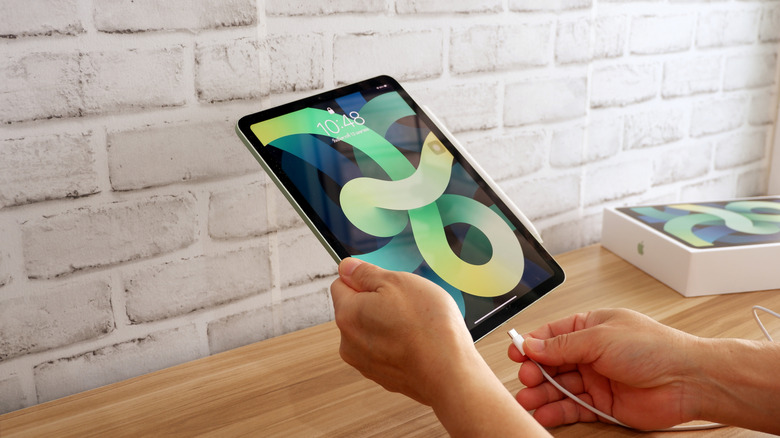 A person with an iPad in hand.