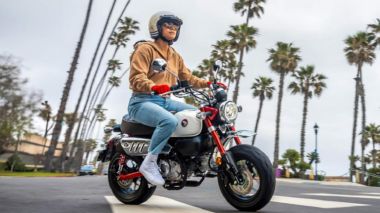 Someone riding a Honda Monkey 125 minibike down a road.