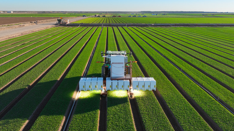 A Laserweeder robot does its job on a field