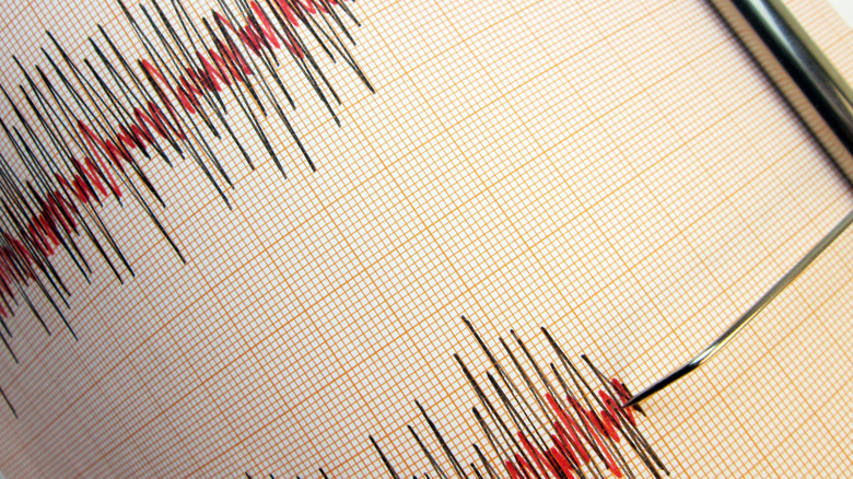 A seismograph displaying earthquake activity.
