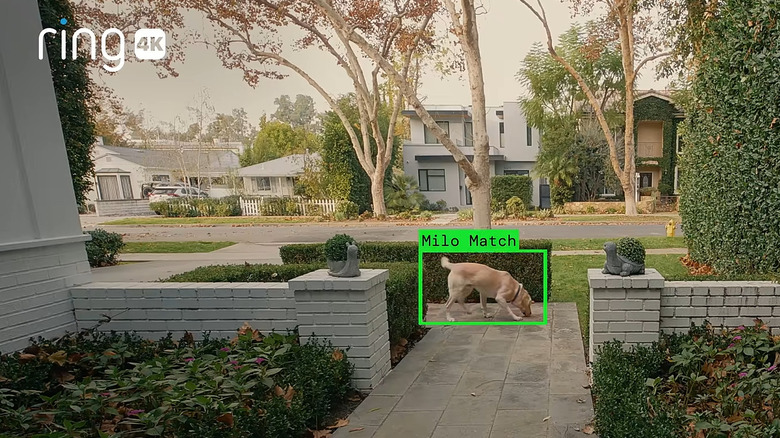 Illustration of a Ring camera identifying a lost dog
