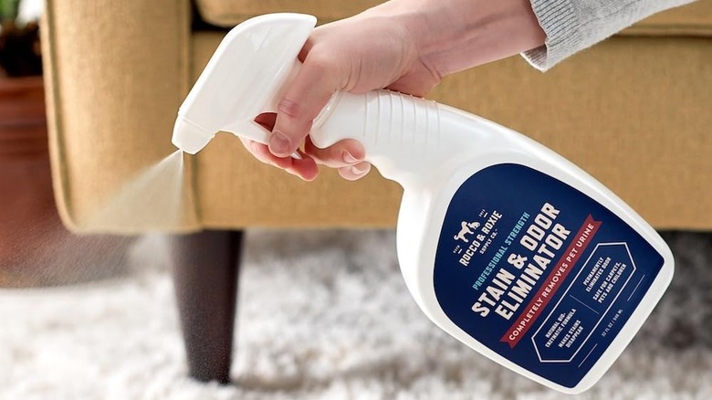 person spraying carpet