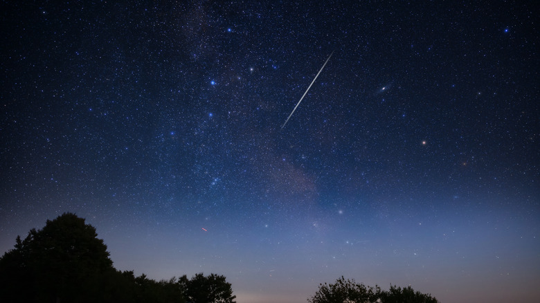 A night sky with many stars and a meteor visible, with a tree line below