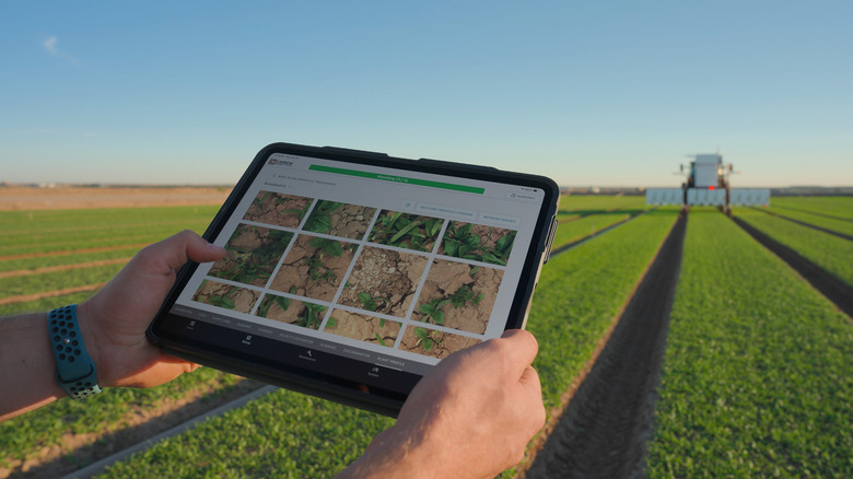 Carbon Robotics' Plant Profiles feature in action