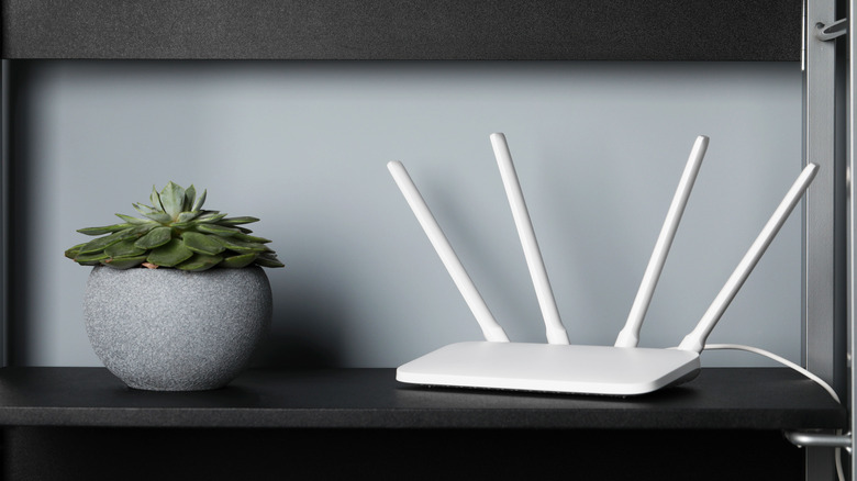 White Wi-Fi router near potted plant on black shelf