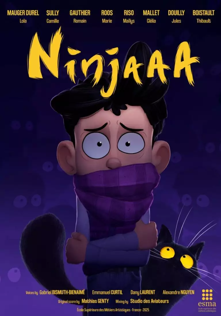 affiche du film ninjaaa